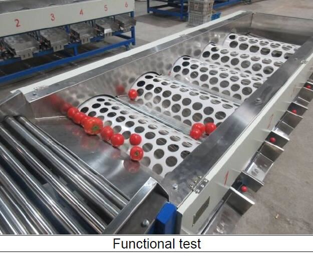 machine sorting tomato