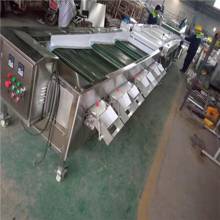 Cherry Grader Machine