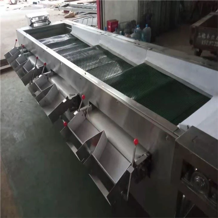 Kumquat Sorting Machine