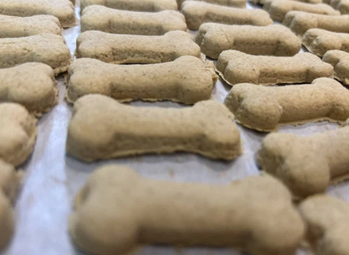 Pet Treats Food Hard Soft Biscuits Making Machine