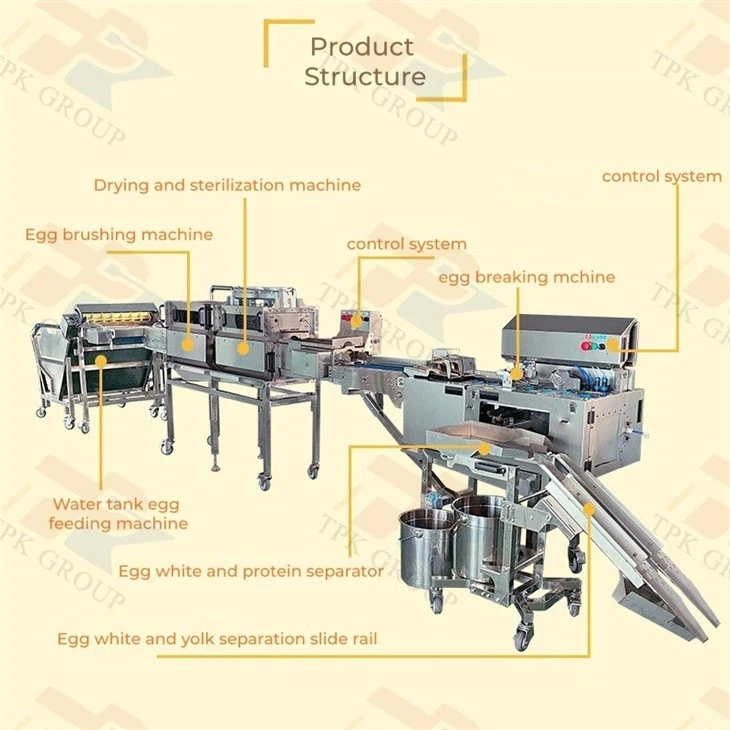 egg breaking line (2)