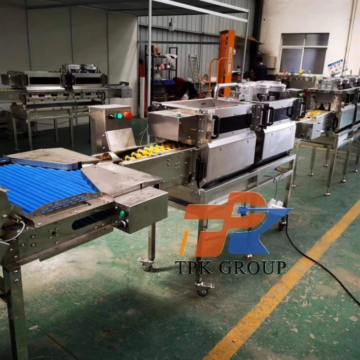 egg breaking line (3)