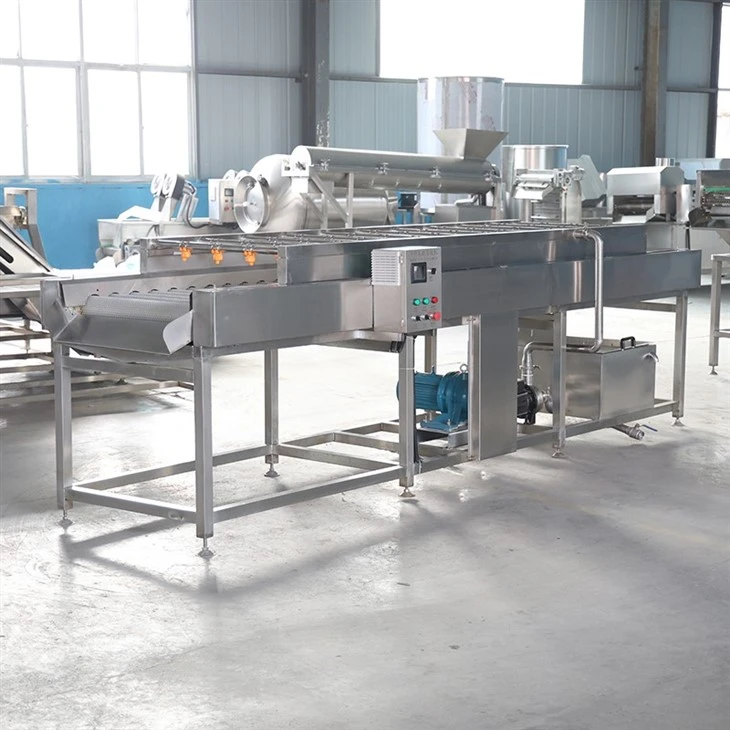 Fruit Vegetable Washing Drying Machine