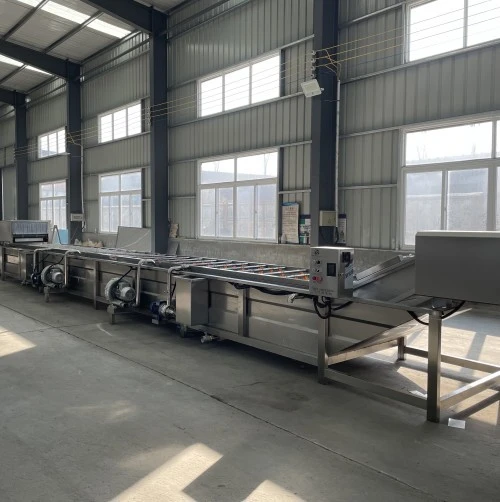 Industrial Fruit Vegetable Washing Machine