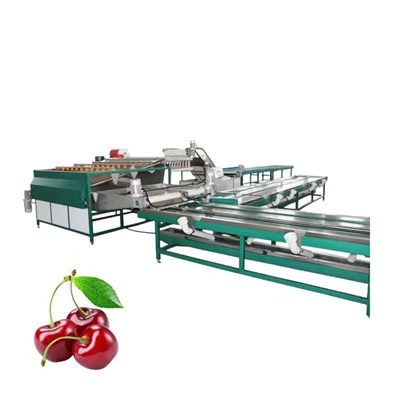 מכונת קירור מוקדמת למיון דובדבנים