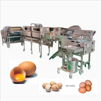 קו ייצור לשטיפת ביצים