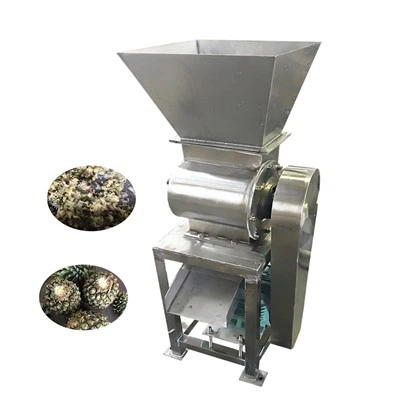 מגרסה פירות וירקות