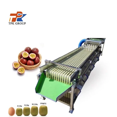 מכונת מיון פירות קיווי